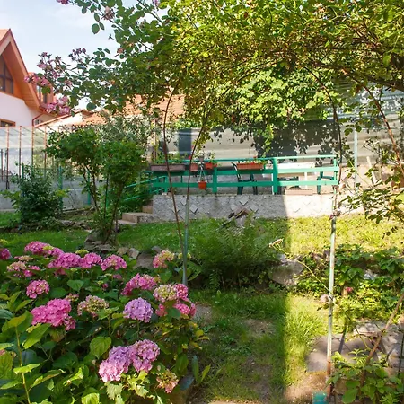 Apartment Barok Brasov