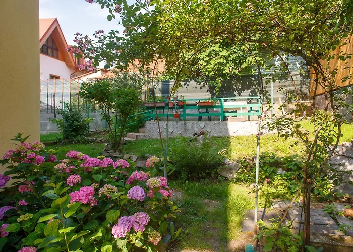 Apartment Barok Brasov